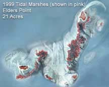 map of Elders Point Marsh, 1999