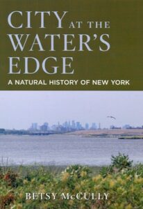 City at the Water's Edge cover image